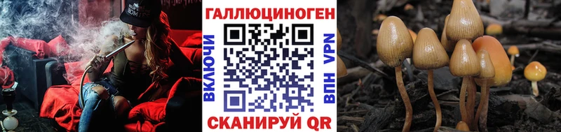 где найти наркотики  Таруса  Галлюциногенные грибы GOLDEN TEACHER 